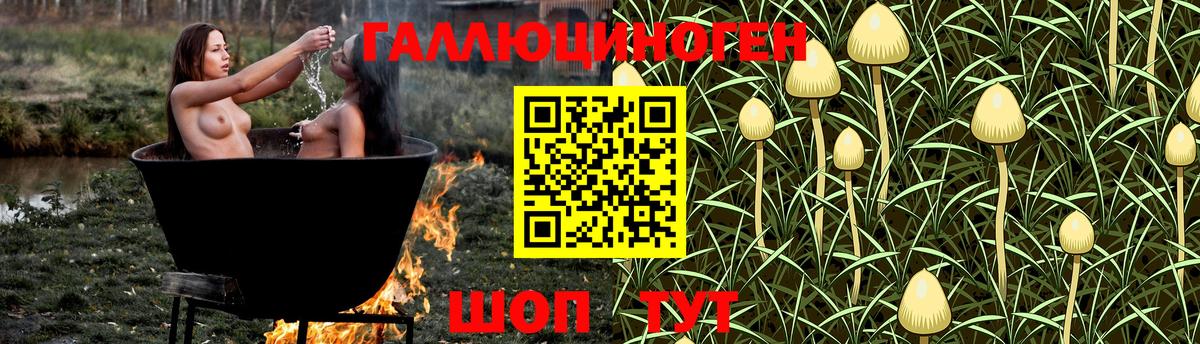 Галлюциногенные грибы мицелий  Галлюциногенные грибы Psilocybine cubensis  Вход с VPN  Ставрополь 
