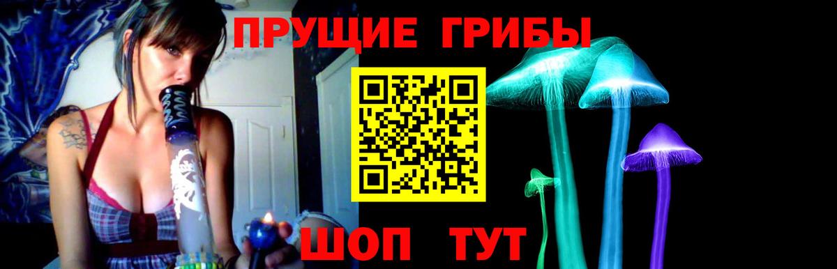 Псилоцибиновые грибы Psilocybine cubensis Ставрополь